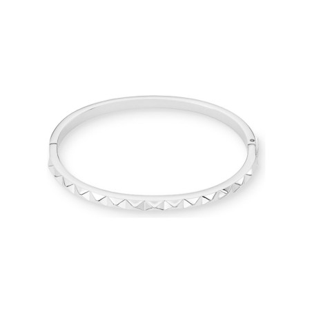 Bracelet jonc  Coeur de Lion en acier - bijouterie haillot la seyne sur mer